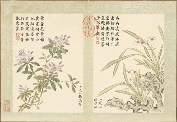 Twenty-Four Floral Messengers An Illustrated Guide to Solar Terms’ Blossoms (Scroll)二十四番花信风图册 - 图片 2