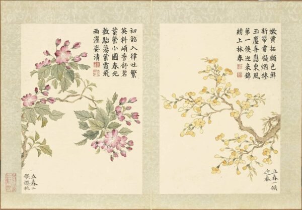 Twenty-Four Floral Messengers An Illustrated Guide to Solar Terms’ Blossoms (Scroll)二十四番花信风图册 - 图片 4