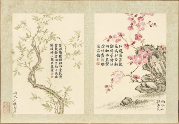 Twenty-Four Floral Messengers An Illustrated Guide to Solar Terms’ Blossoms (Scroll)二十四番花信风图册 - 图片 6