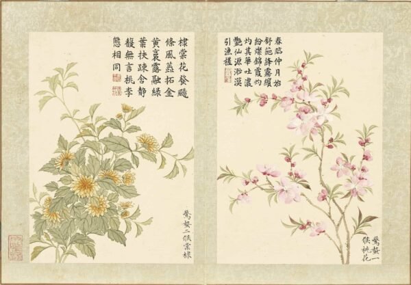 Twenty-Four Floral Messengers An Illustrated Guide to Solar Terms’ Blossoms (Scroll)二十四番花信风图册 - 图片 7