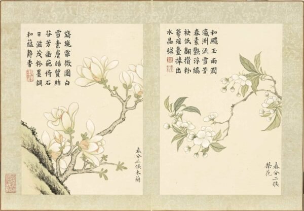 Twenty-Four Floral Messengers An Illustrated Guide to Solar Terms’ Blossoms (Scroll)二十四番花信风图册 - 图片 9