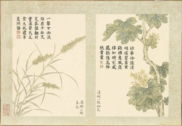 Twenty-Four Floral Messengers An Illustrated Guide to Solar Terms’ Blossoms (Scroll)二十四番花信风图册 - 图片 10