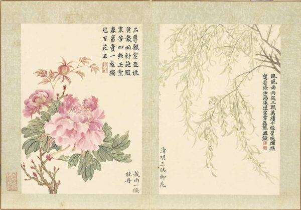 Twenty-Four Floral Messengers An Illustrated Guide to Solar Terms’ Blossoms (Scroll)二十四番花信风图册 - 图片 11
