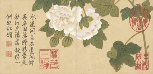 Four Seasons of Flowers Album（Scroll）四景花卉图册