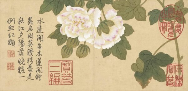 Four Seasons of Flowers Album（Scroll）四景花卉图册
