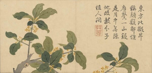 Four Seasons of Flowers Album（Scroll）四景花卉图册 - 图片 5