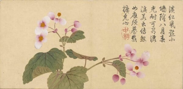 Four Seasons of Flowers Album（Scroll）四景花卉图册 - 图片 6