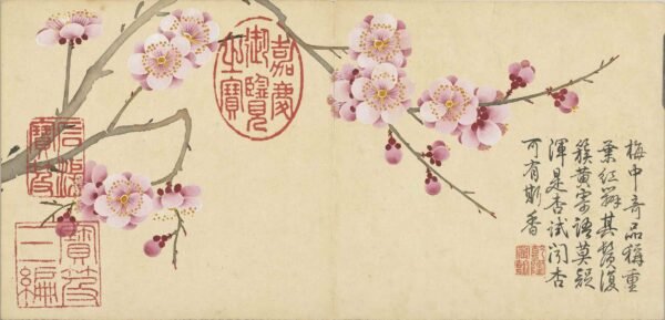 Four Seasons of Flowers Album（Scroll）四景花卉图册 - 图片 7
