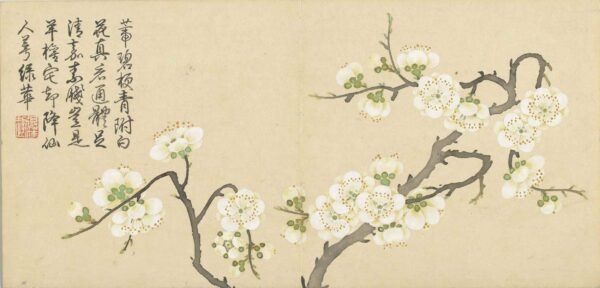 Four Seasons of Flowers Album（Scroll）四景花卉图册 - 图片 9