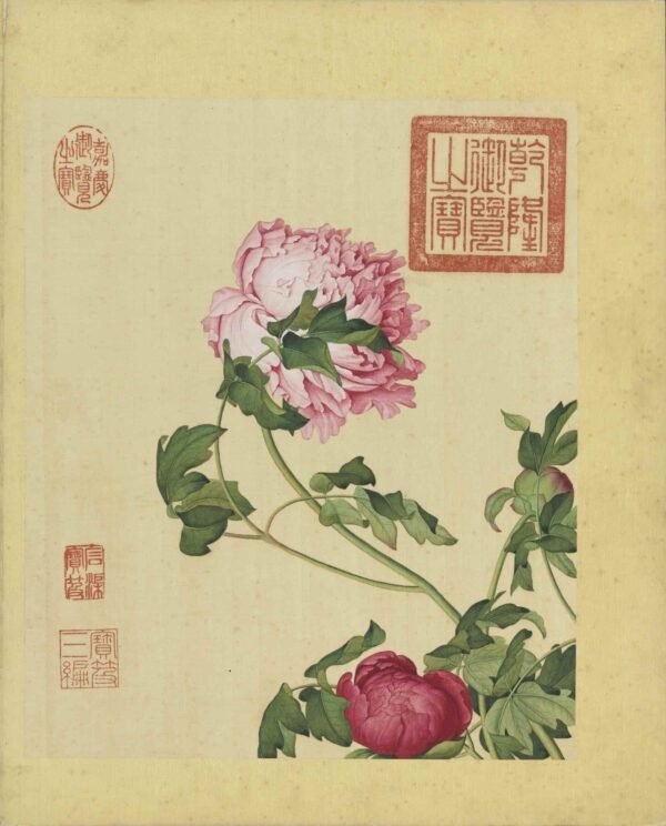 Immortal Blossoms Eternal Spring Album（Scroll）仙萼长春图册 - 图片 2