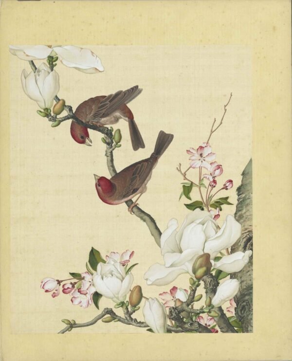 Immortal Blossoms Eternal Spring Album（Scroll）仙萼长春图册 - 图片 5
