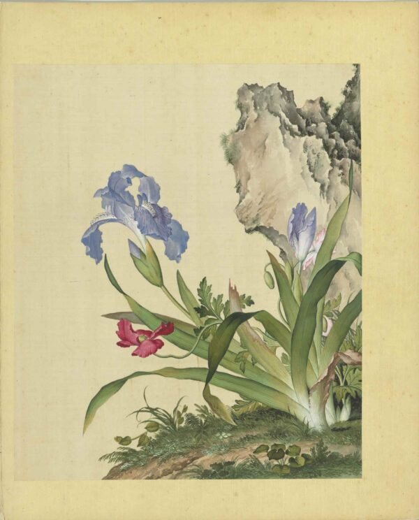 Immortal Blossoms Eternal Spring Album（Scroll）仙萼长春图册 - 图片 6