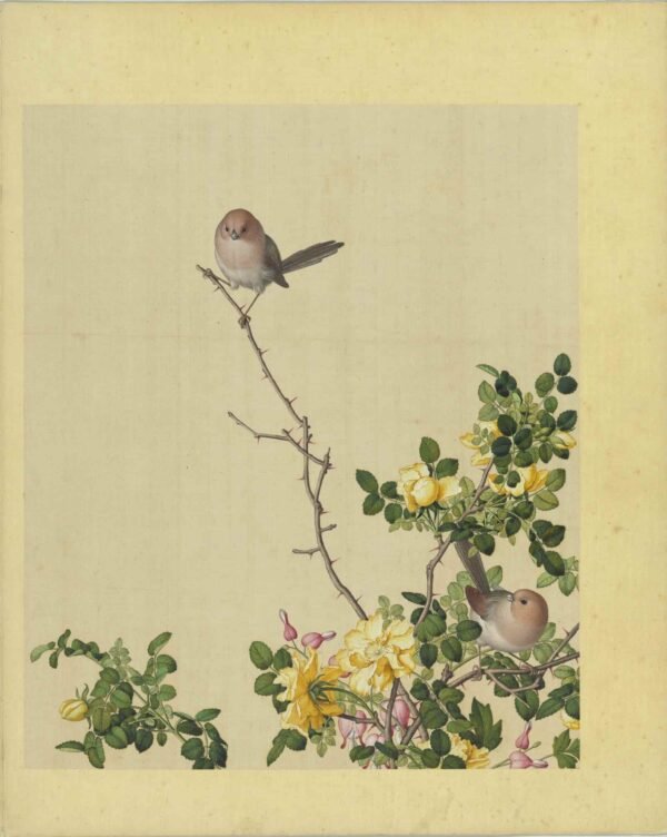 Immortal Blossoms Eternal Spring Album（Scroll）仙萼长春图册 - 图片 7