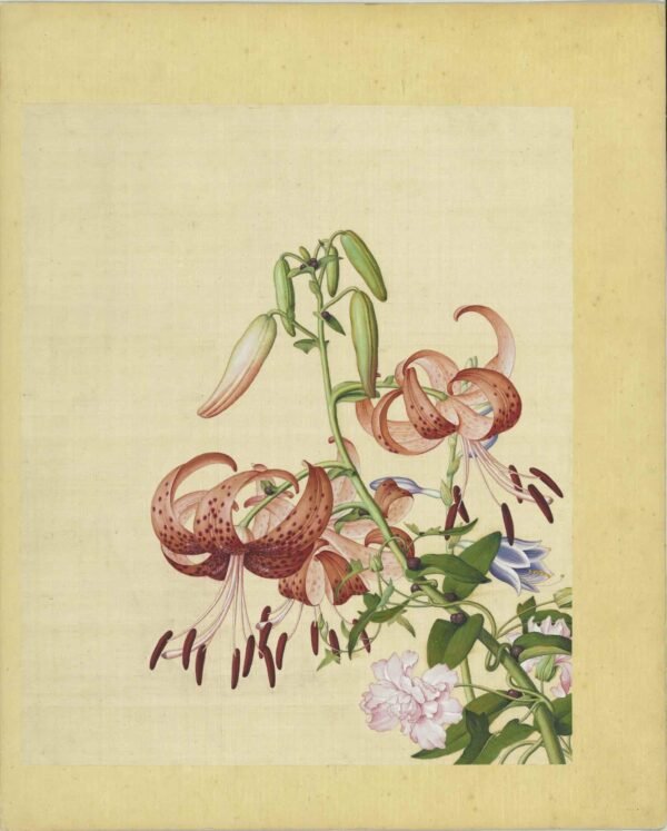 Immortal Blossoms Eternal Spring Album（Scroll）仙萼长春图册 - 图片 12