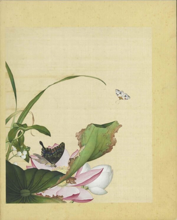 Immortal Blossoms Eternal Spring Album（Scroll）仙萼长春图册 - 图片 14