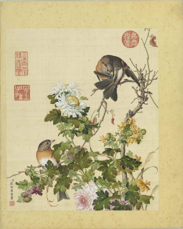 Immortal Blossoms Eternal Spring Album（Scroll）仙萼长春图册 - 图片 17